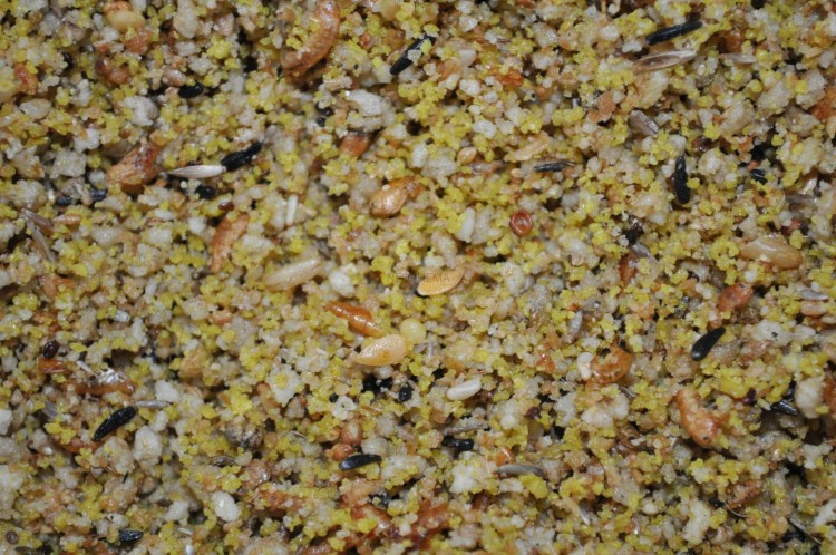 fa9e7c7549339c464082fc10b6d177e7