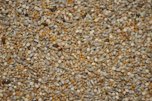 b8bf62f5016a9bc1f5a8a18e884f779c