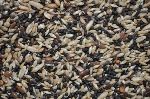 cff5981da15330006d00896b2c4d1b75