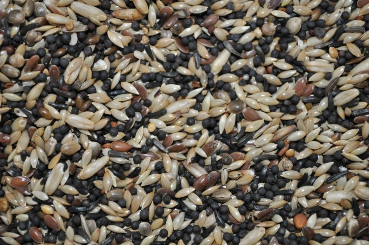 cff5981da15330006d00896b2c4d1b75