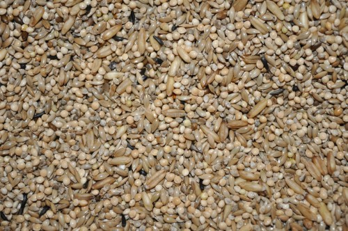 6b5db1cc8b3b6e0a1dfff2e551711f3e