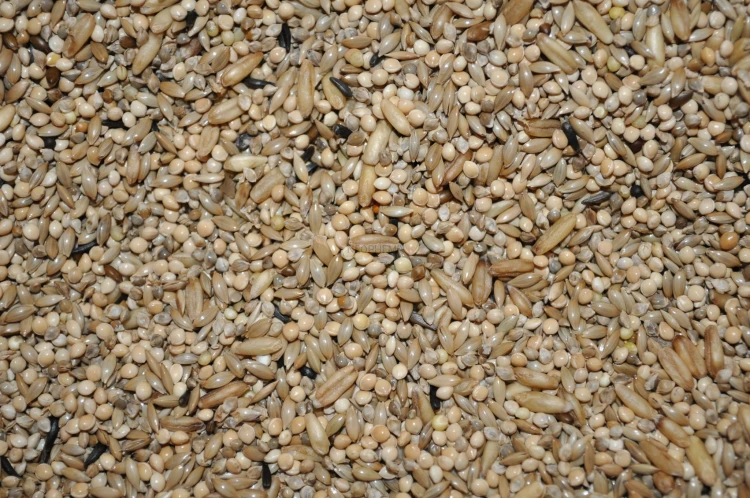 6b5db1cc8b3b6e0a1dfff2e551711f3e