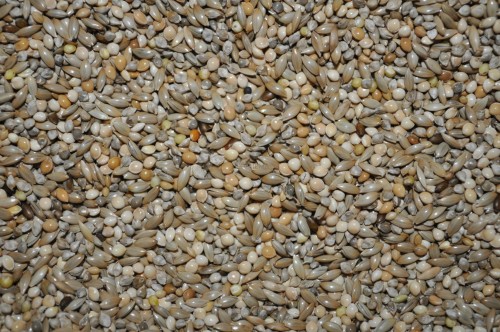 1eb47aec67b23064c5e2b68a03bfe1bb