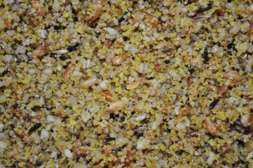 fa9e7c7549339c464082fc10b6d177e7