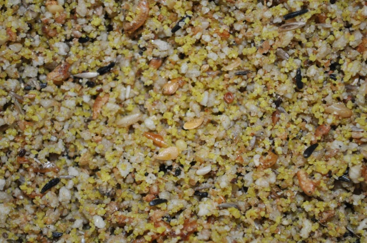 fa9e7c7549339c464082fc10b6d177e7