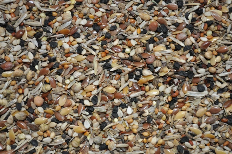 6e40388d28c43e1a7e35fcd10a503bbd