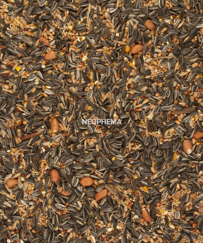 fb95e4c300427610a55057be906aeb15