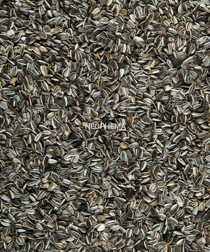 abed568e75d782e6963a330e06b9c879