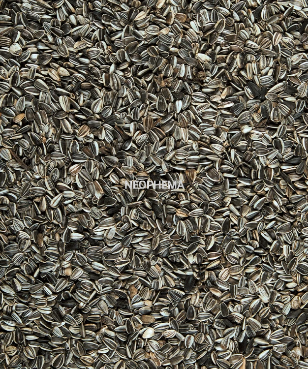 abed568e75d782e6963a330e06b9c879