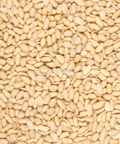 91e4491da2bf317e3434e09a9f597c4b