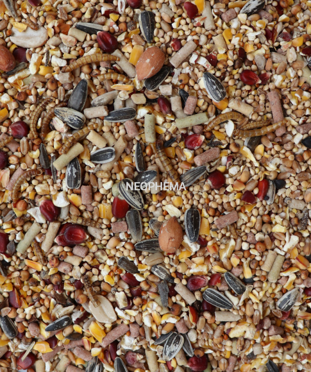 48825e3ffb39b82d475dc46256019b96