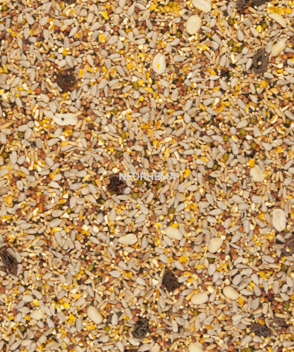 fd2629e59469034dc3586888a82b9bb8