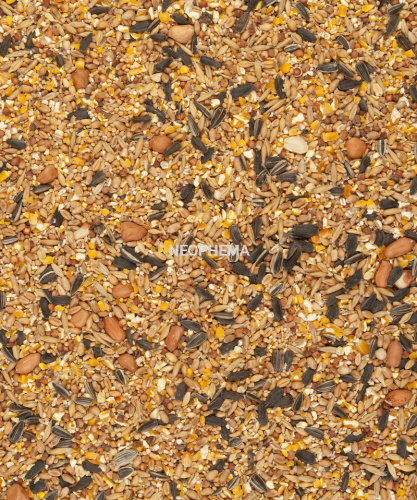 75d0a8284840fb99dcf9d07a0fba81ed