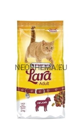 d05d77d2406f64e5d8f7d8e5e17bacc7