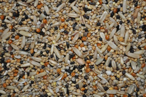 23ab130ef2016db2634f983d445effc3