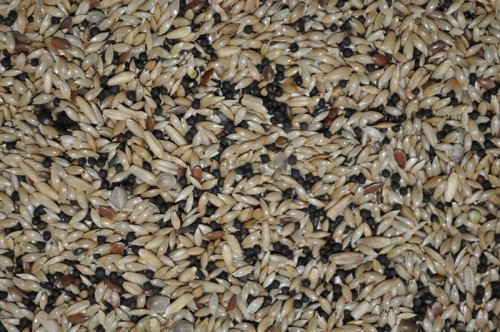 a7a395e40d0940079d2da2fbaacf560e