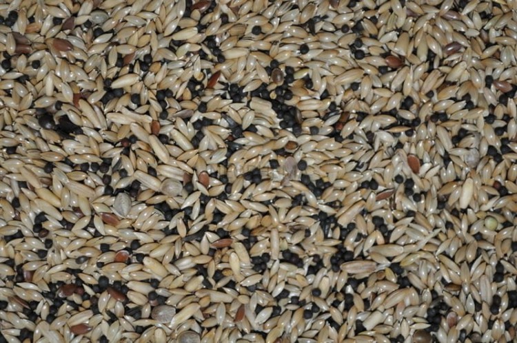 a7a395e40d0940079d2da2fbaacf560e