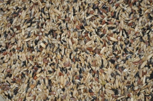 872f1ef56ce2b42c364b28782379bb5a