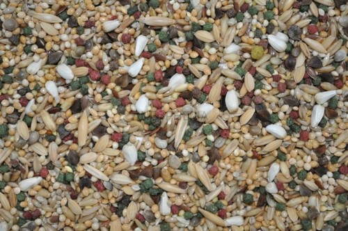 1fec4c514bfc57752b68f86e4a03d81d