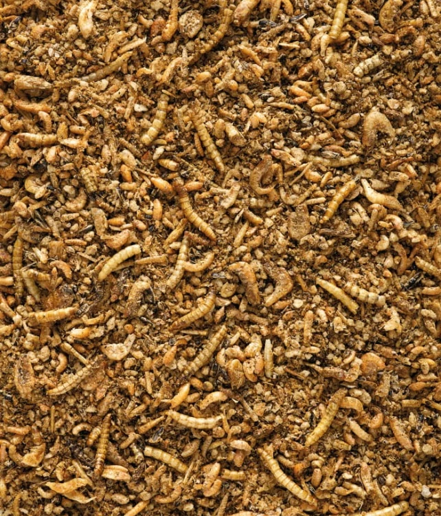 NutriBird Insect Patee Premium 10kg – pokarm z dodatkiem insektów1