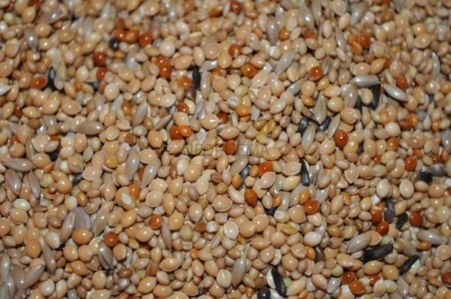 2cf1b5c52398f95568e039d5ad1ec234