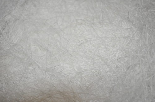 bawełna biała