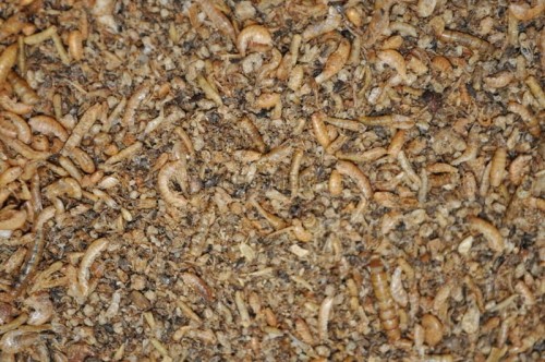 5305fcbbcb110b2b4f7d01bce6152148