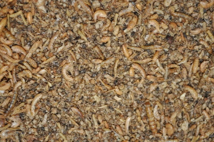 5305fcbbcb110b2b4f7d01bce6152148