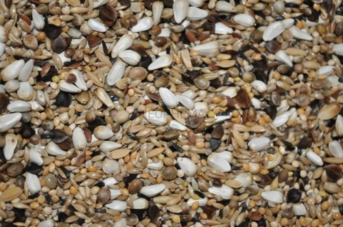 a1fea27638e198881847dd742bb36bb7