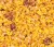 Your-Parrot-Soft-Eggfood-Gold 1kg—pokarm-jajeczny-dla-srednich i duzych-papug