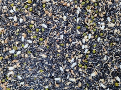 MANITOBA GERMINAZIONE CANARINI 1KG MIESZANKA ZIARNO DO KIEŁKOWANIA DLA KANARKÓW 1