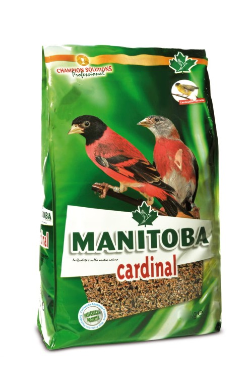MANITOBA CARDINAL 800G POKARMDLA CZYŻY CZYŻYKA 26581.jpg 1