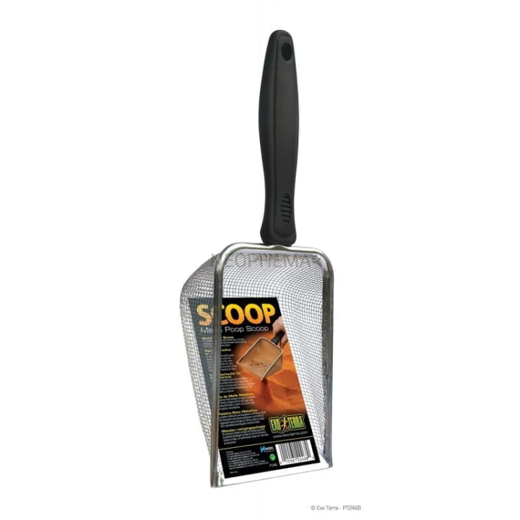 7069