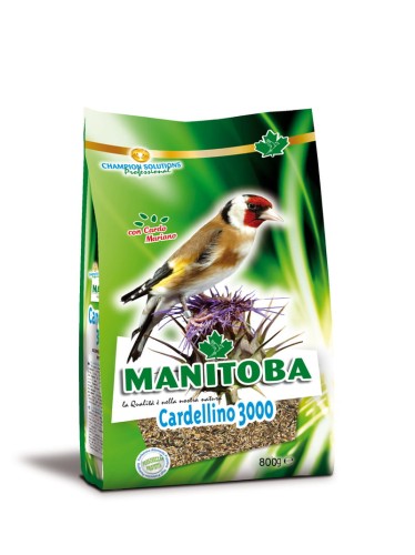 MANITOBA CARDELLINO 3000 2,5KG POKARM DLA SZCZYGŁÓW
