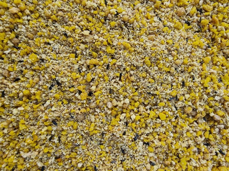 MANITOBA DOLCE FERNO DRY POKARM JAJECZNY DLA KANARKÓW 001