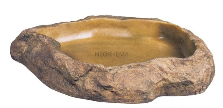 6560