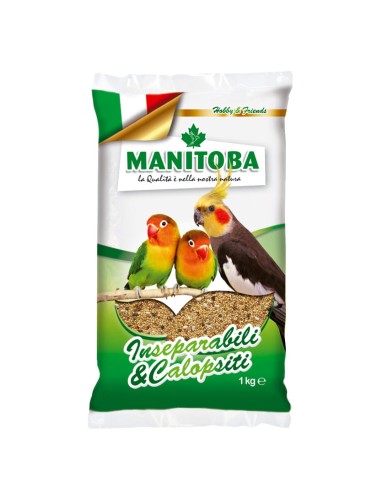 MANITOBA PARROCCHETTI 1KG POKARM DLA ŚREDNICH PAPUG NIMFA 60301