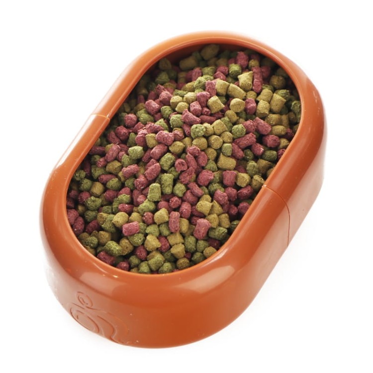 komodo-smart-dish-miska-na-zywy-pokarm-