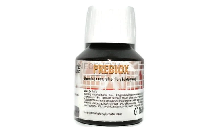 b825f5c2ecc7adc409e7df9beaecc7e6