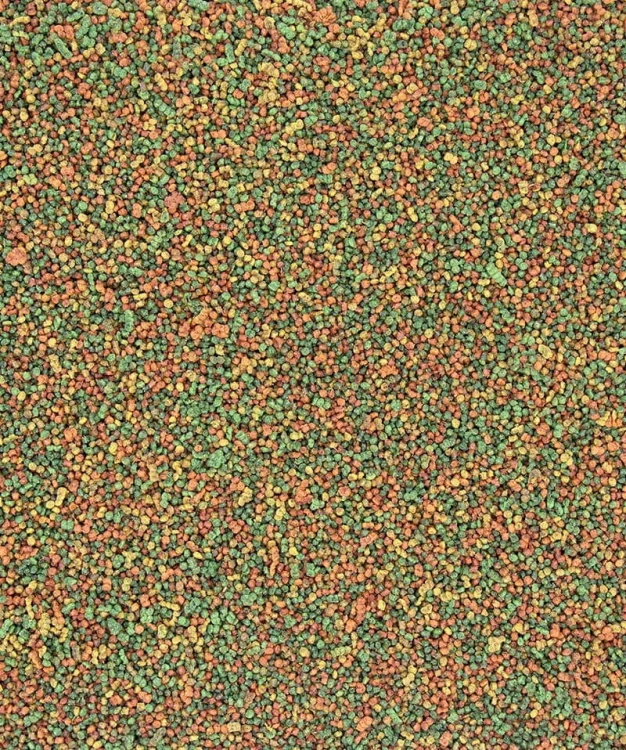 6293