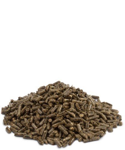 VERSELE LAGA PELLETS – CHINCHILLAS & DEGUS BREEDER 25KG.png1