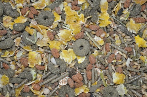 82ec332c2089d42adc2f2b8b7fe7649a