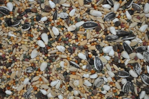 b8e61369b387176477a49e8fdb2324a4