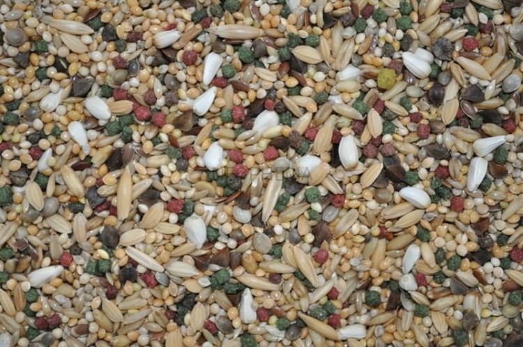 3e7c4acc7c020063abe768fde3e7d732