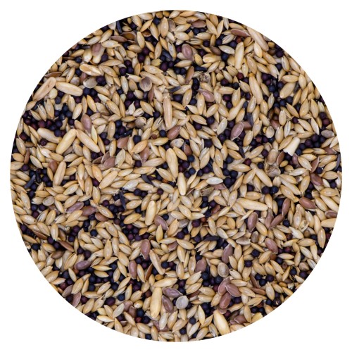 vdc-vdccanaryextra10