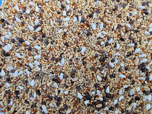 MANITOBA NEOPHEMA POKARM DLA ŁĄKÓWEK LILIANEK