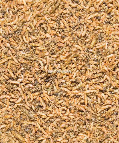 e69408d283338db882bd9238b544c57d