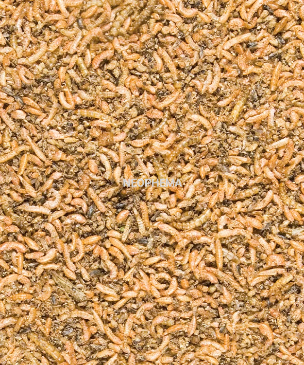 e69408d283338db882bd9238b544c57d