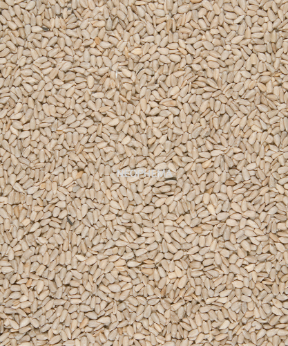 1005f51bd90f0f25912cdc67c87a75c3