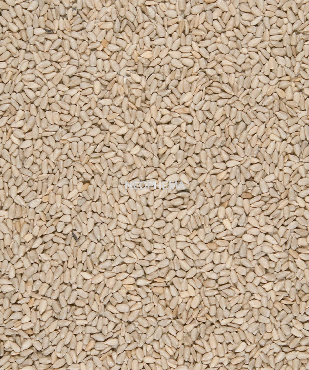 1005f51bd90f0f25912cdc67c87a75c3